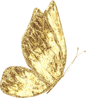 Golden colored butterfly